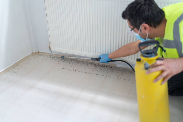  Wheatley Heights, NY Pest Control Pros
