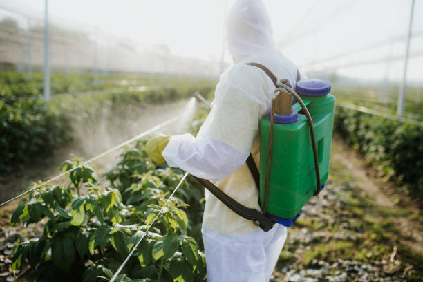 Pest Prevention Services in Wheatley Heights, NY